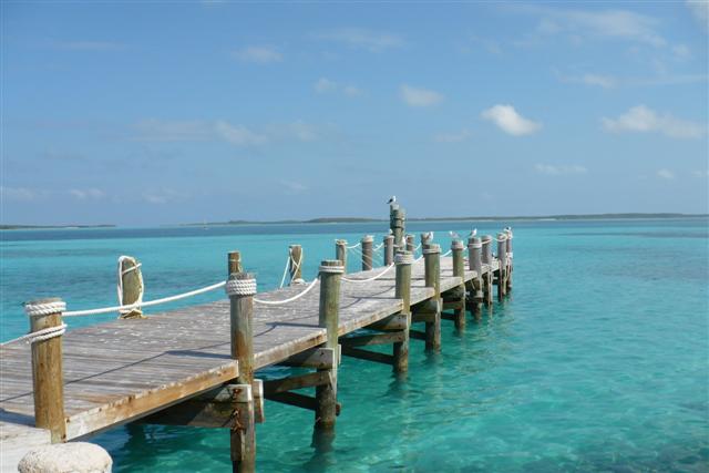 [P1010447+(Small).JPG]