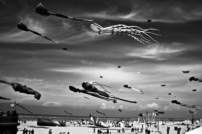 pedro meyer photography