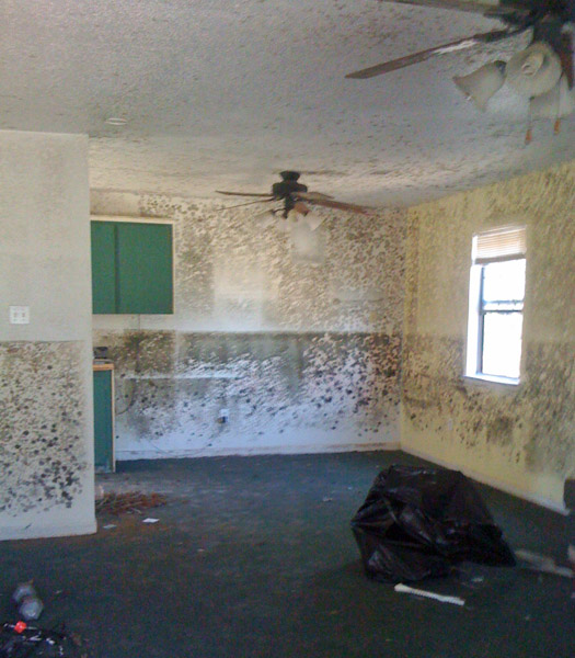 Duarte Construct Notes