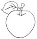 NAMC montessori culture activity introducing democratic elections apple