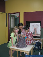 NAMC Montessori elementary curriculum when to tell the five great lessons stories volcano experiment