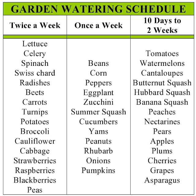 my family prepared Garden Watering Schedule