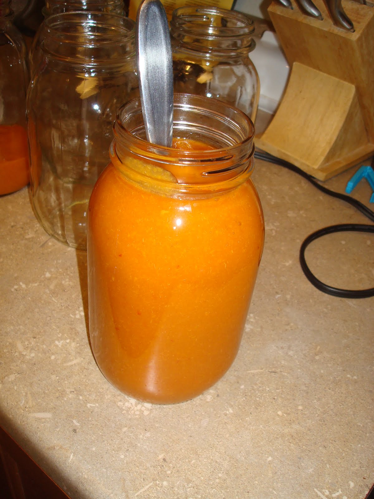 my family prepared Canning Apricot Nectar How To