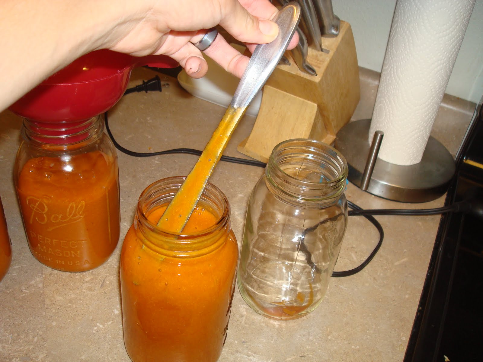 my family prepared Canning Apricot Nectar How To
