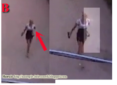 Na tropie Iwony Wieczorek: Dowody, dowody, dowody wskazujące, że to nie