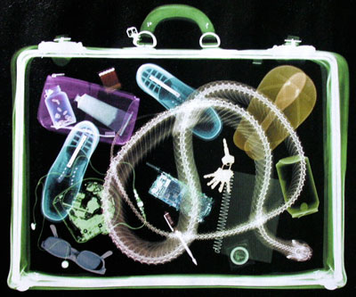 [snakesonaplane.jpeg]