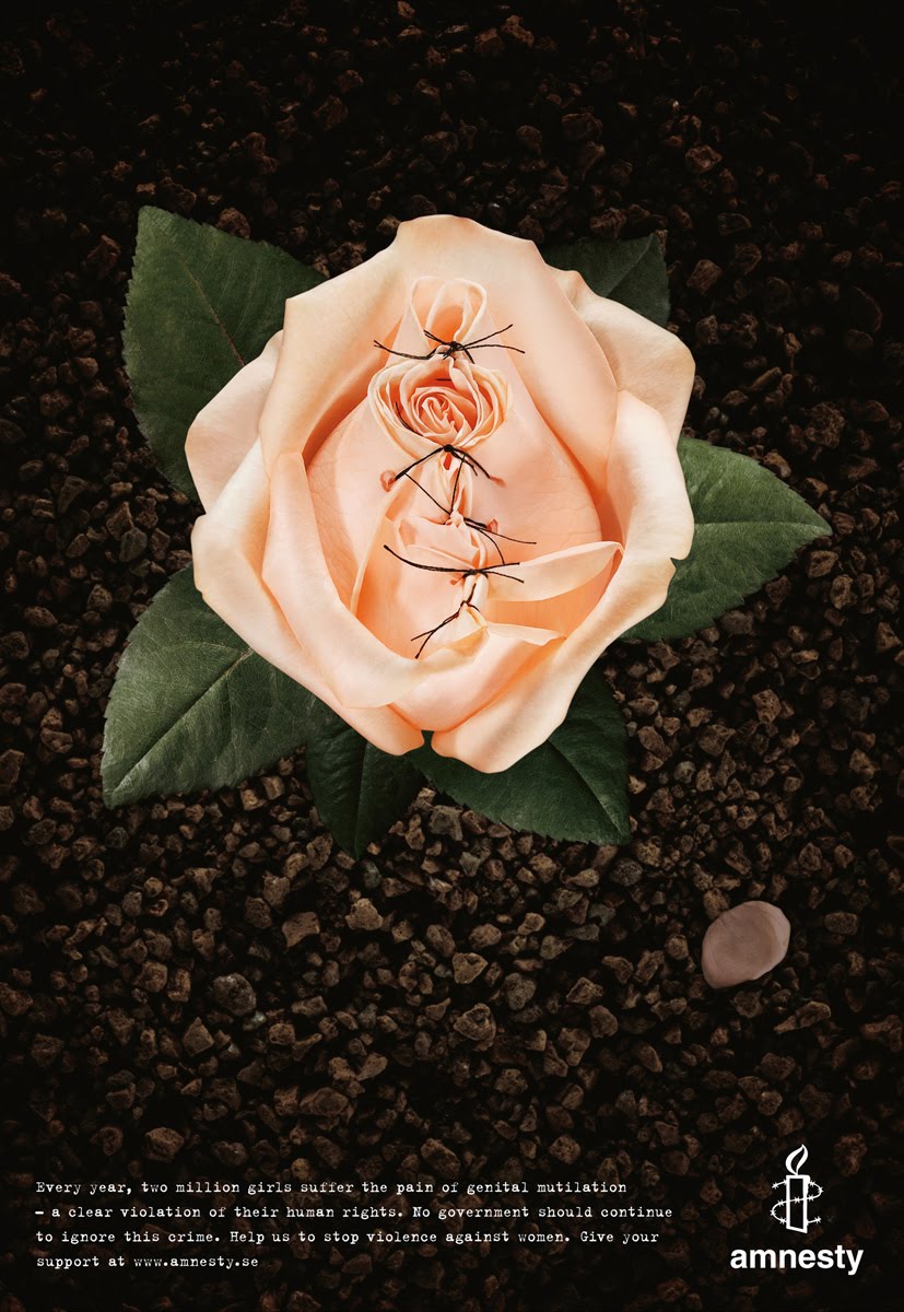 [AmnestyApricot.bmp]