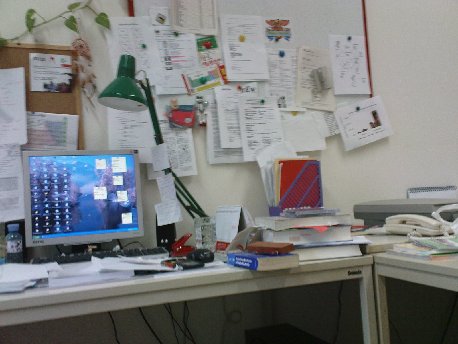 [DSC00529.JPG]
