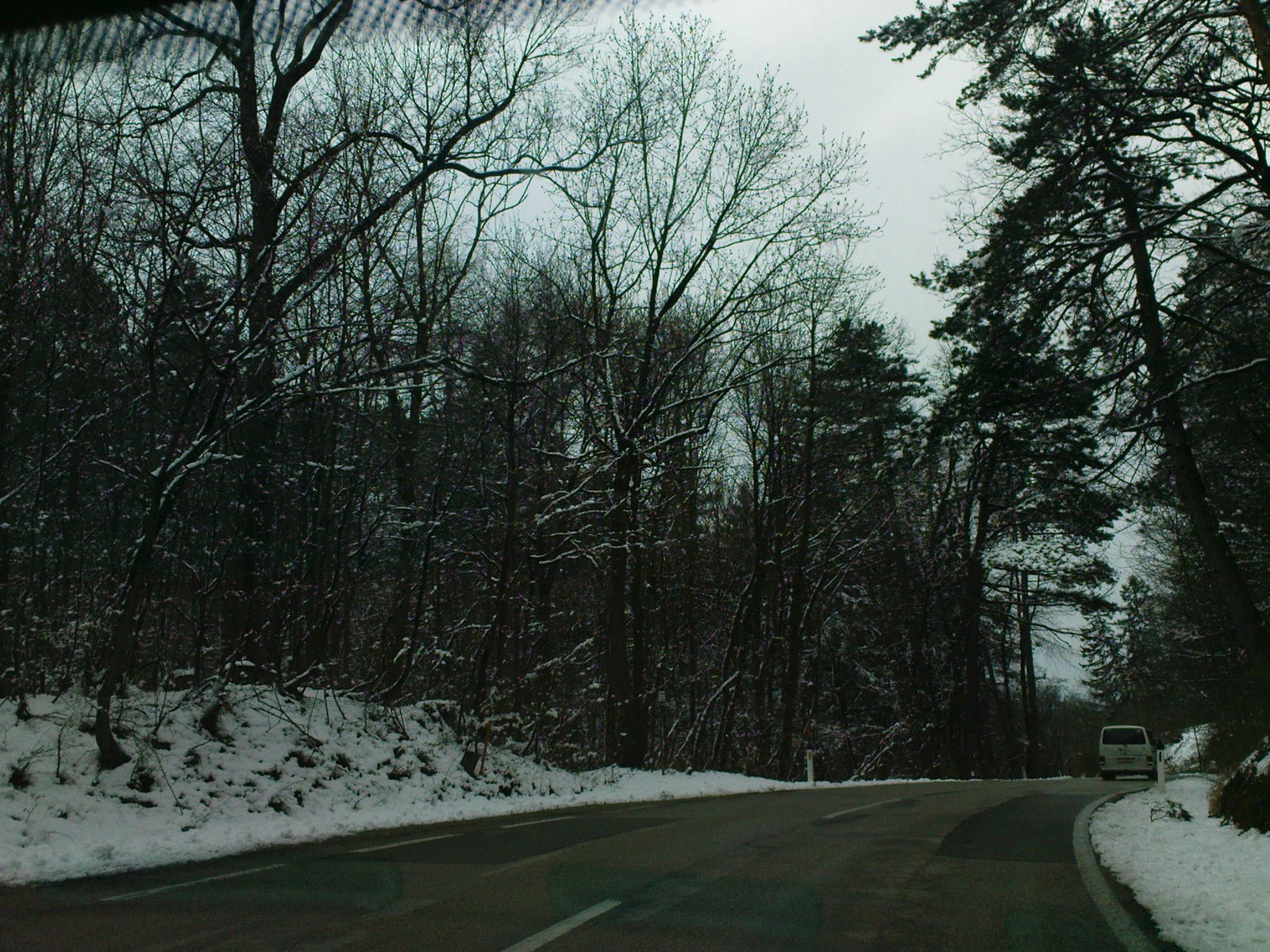 [DSC00574.JPG]