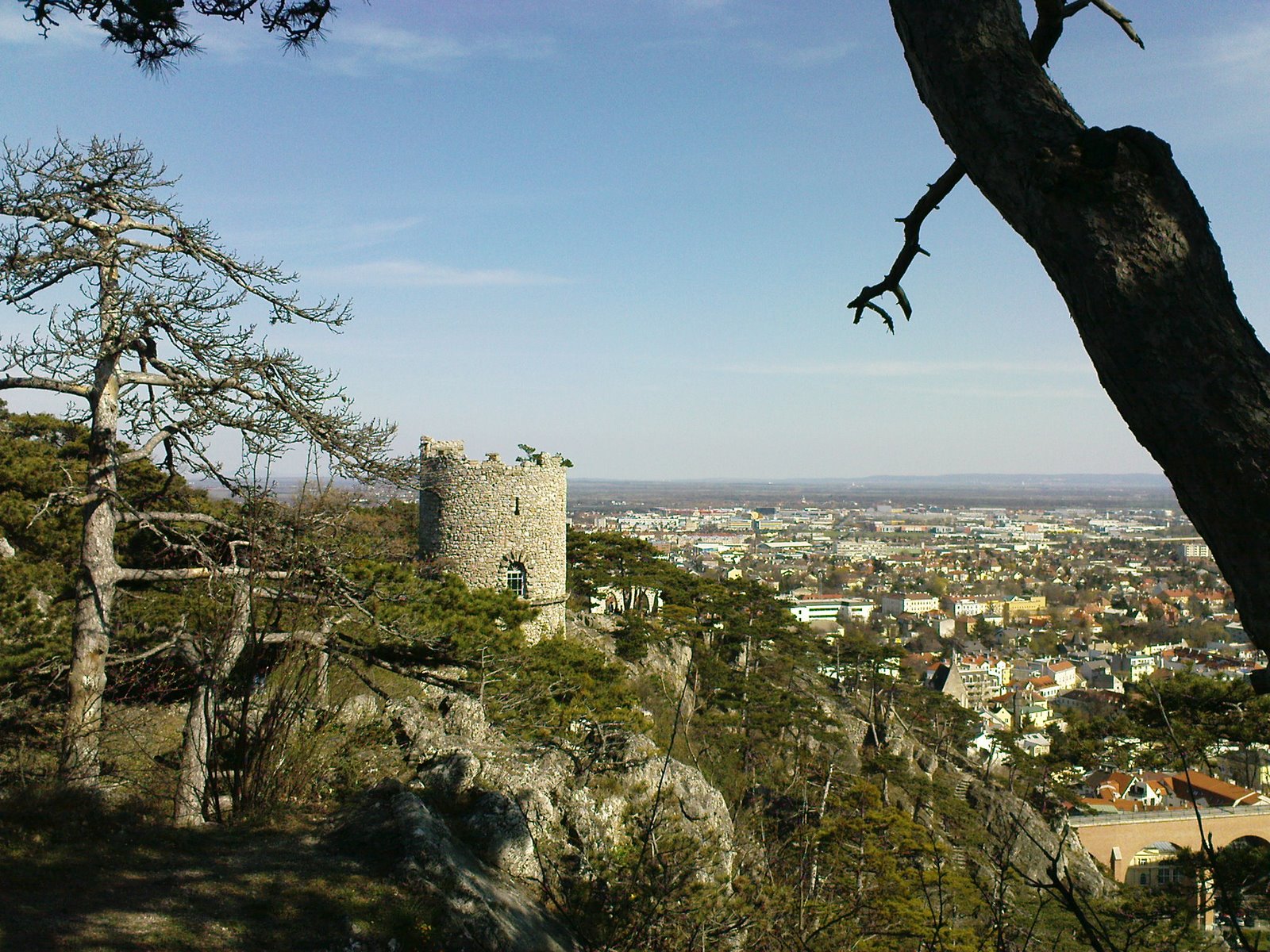 [DSC00624.JPG]