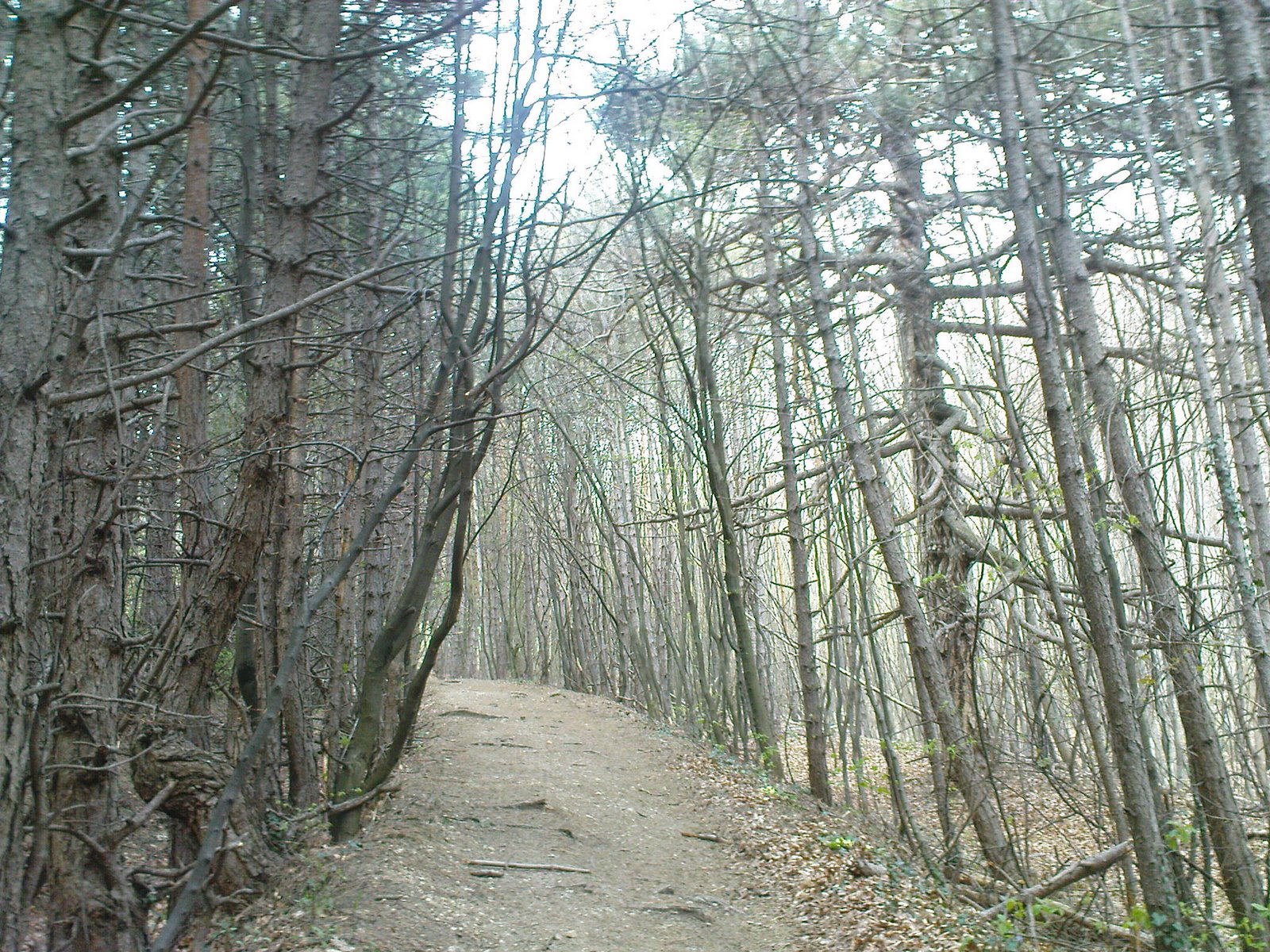 [DSC00677.JPG]