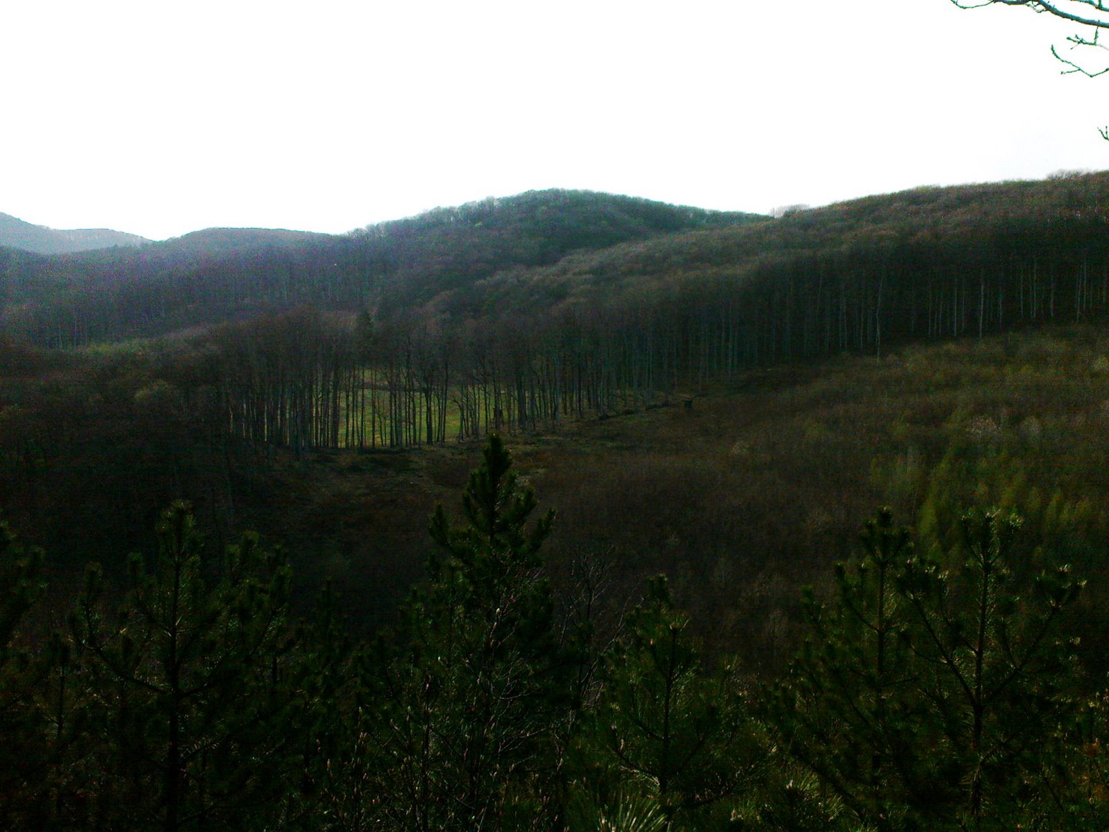 [DSC00667.JPG]
