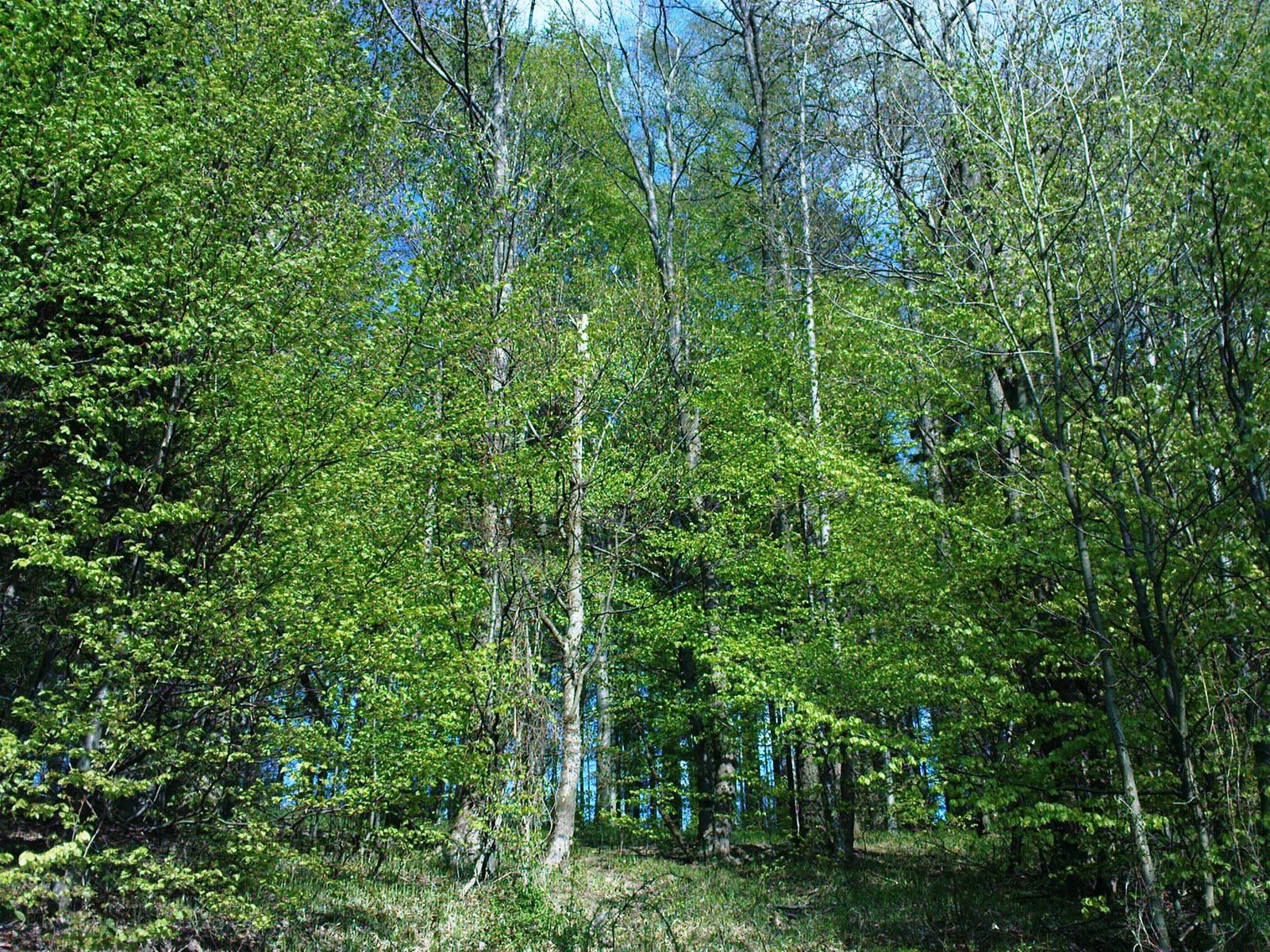 [DSC00719.JPG]
