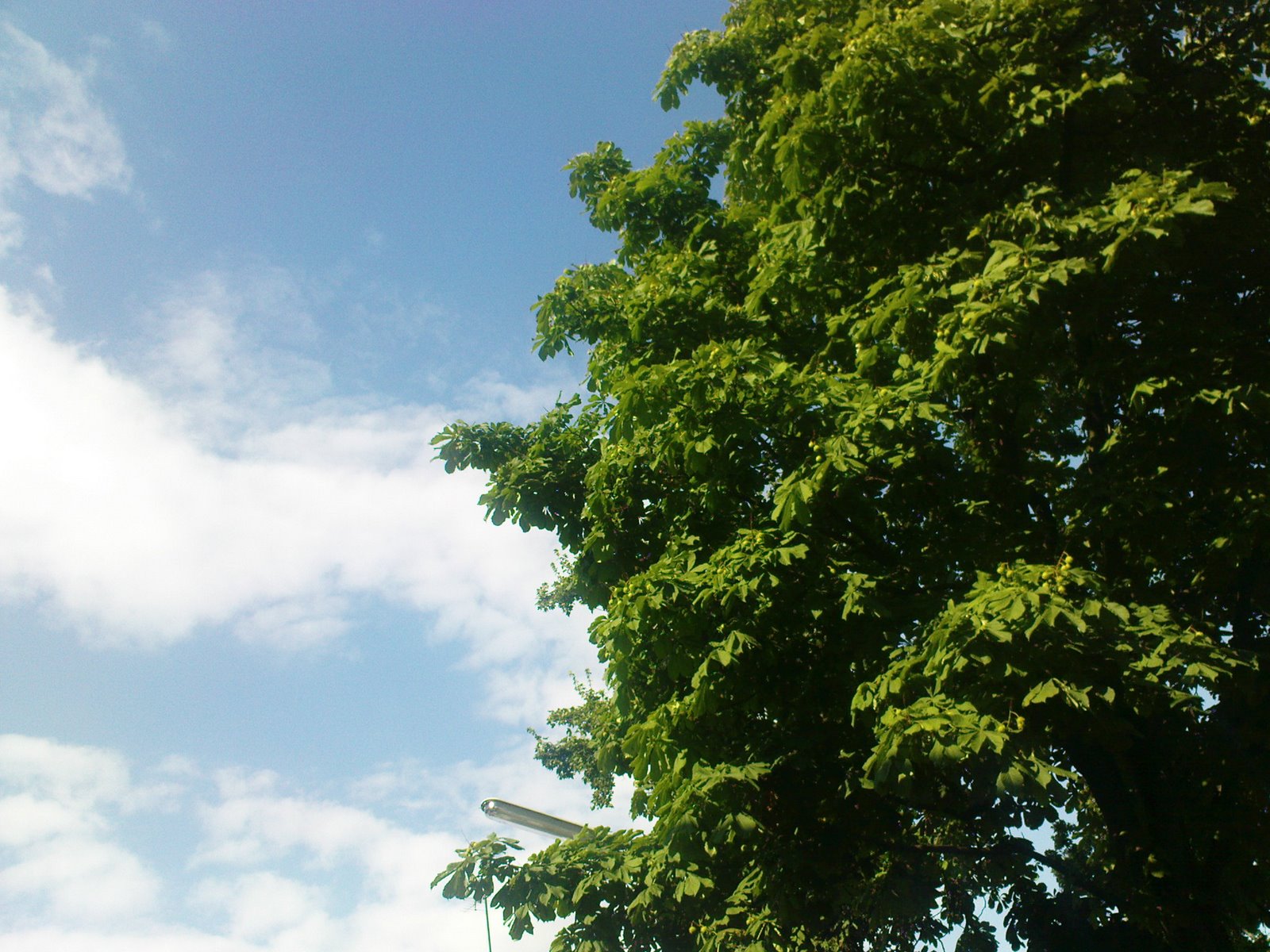 [DSC00912.JPG]