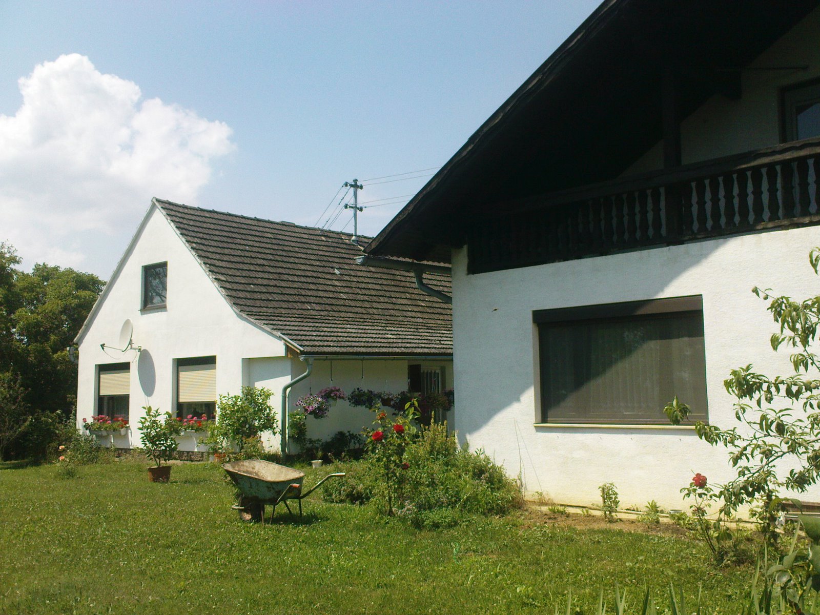 [DSC01016.JPG]
