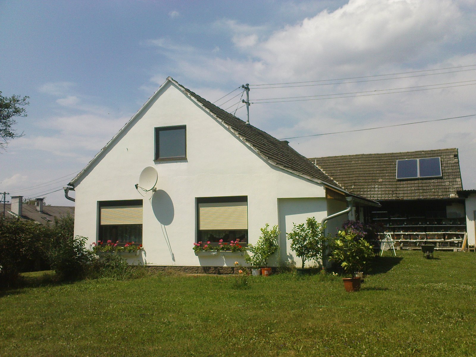 [DSC01009.JPG]