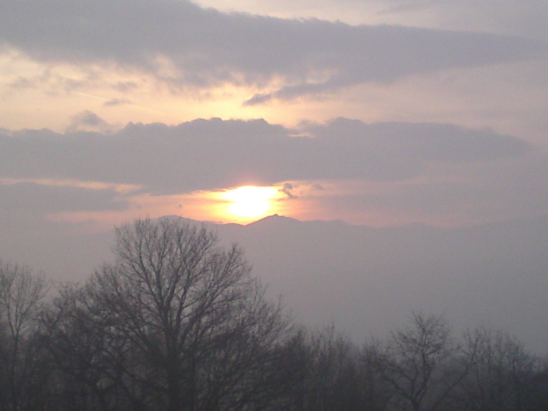 [image-upload-705-746770.jpg]