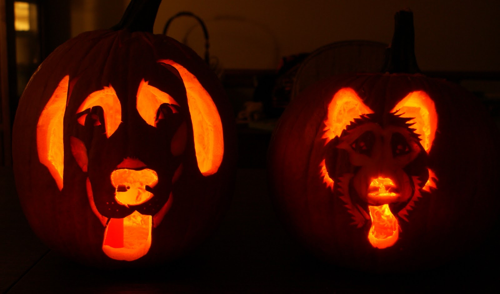 Choosing The Perfect Pumpkin