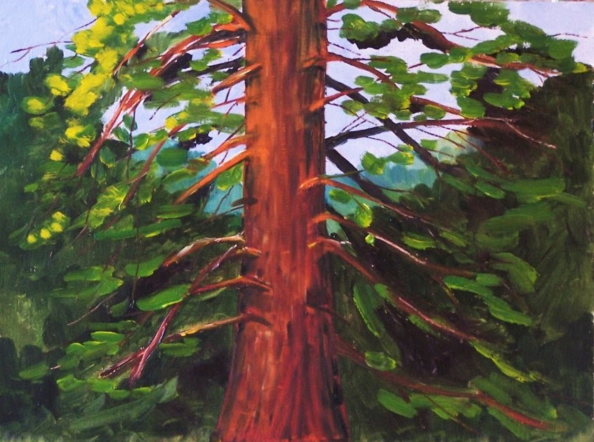 Painting Small Impressions Giant Cedar TreeOriginal American Oil