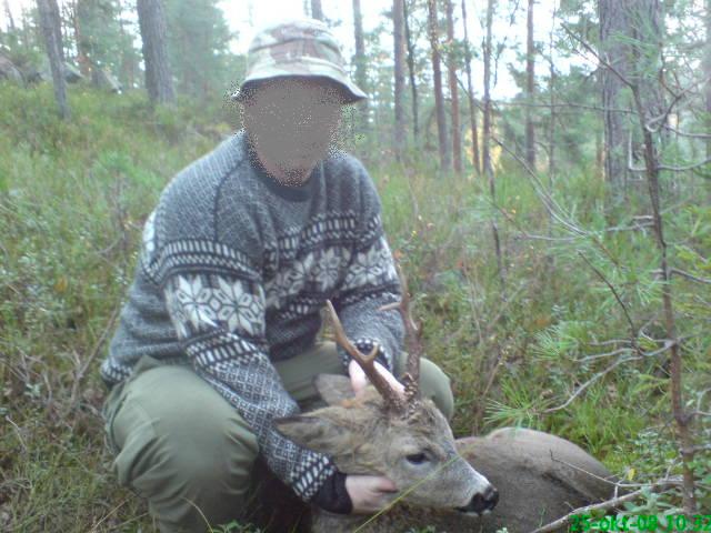 [emilrådyr2_2008_red.JPG]