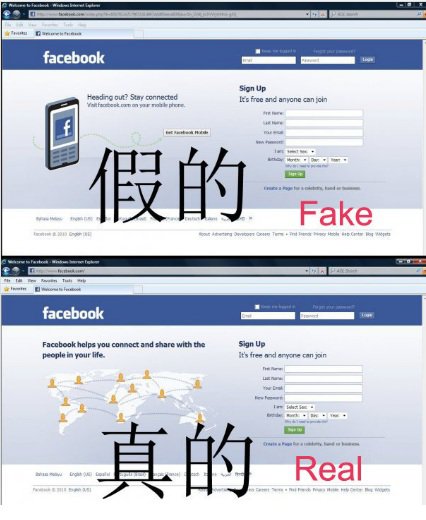 facebook logout.  you accidently login into fake facebook website, logout immediately and 
