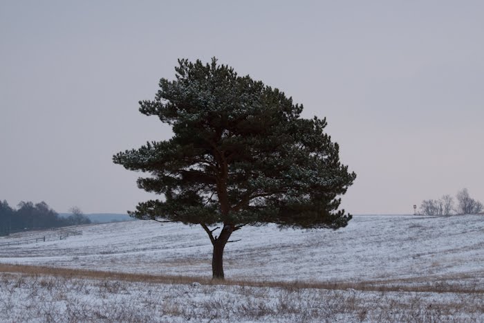 [IMG_6812.jpg]