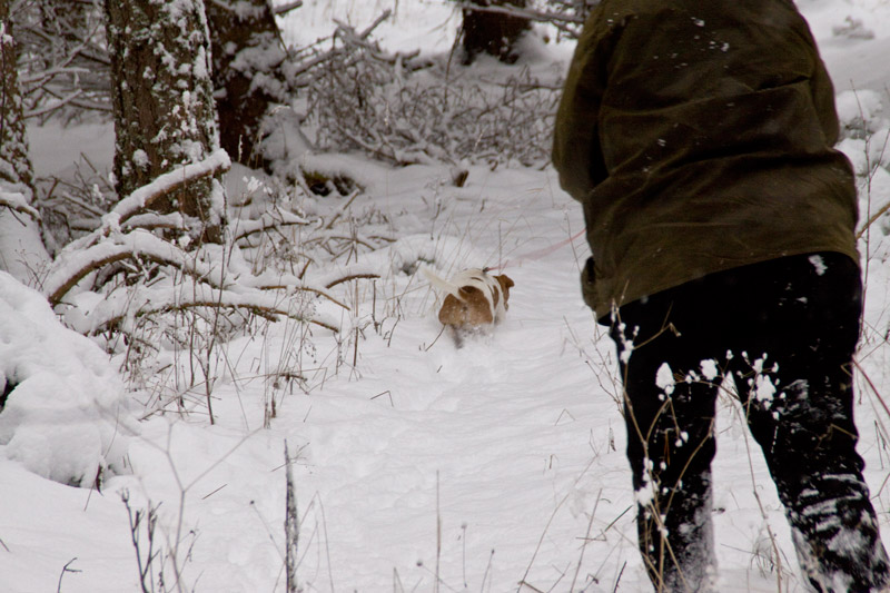[20081122_81_sparar.jpg]