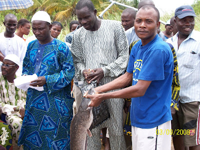 Catfish Farming in Nigeria: Pictures of Concrete, Earthen ...