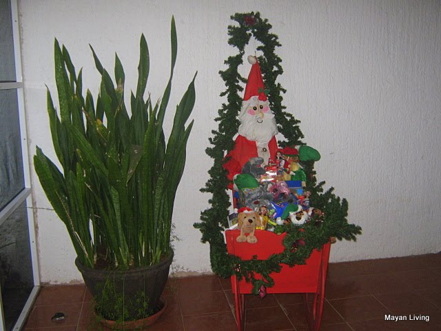 [IMG_2701.JPG]