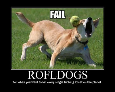 Rofl Dog