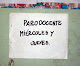Mi foto