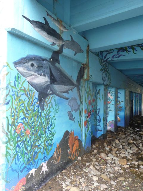 Seawalls 15 Eat This A New Mural By Jaz In Cozumel Mexico
