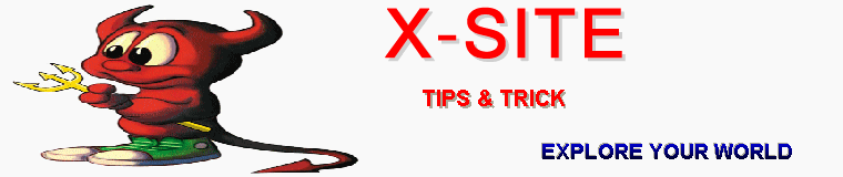 X - SITE