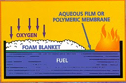 [AFFF+chart.bmp]