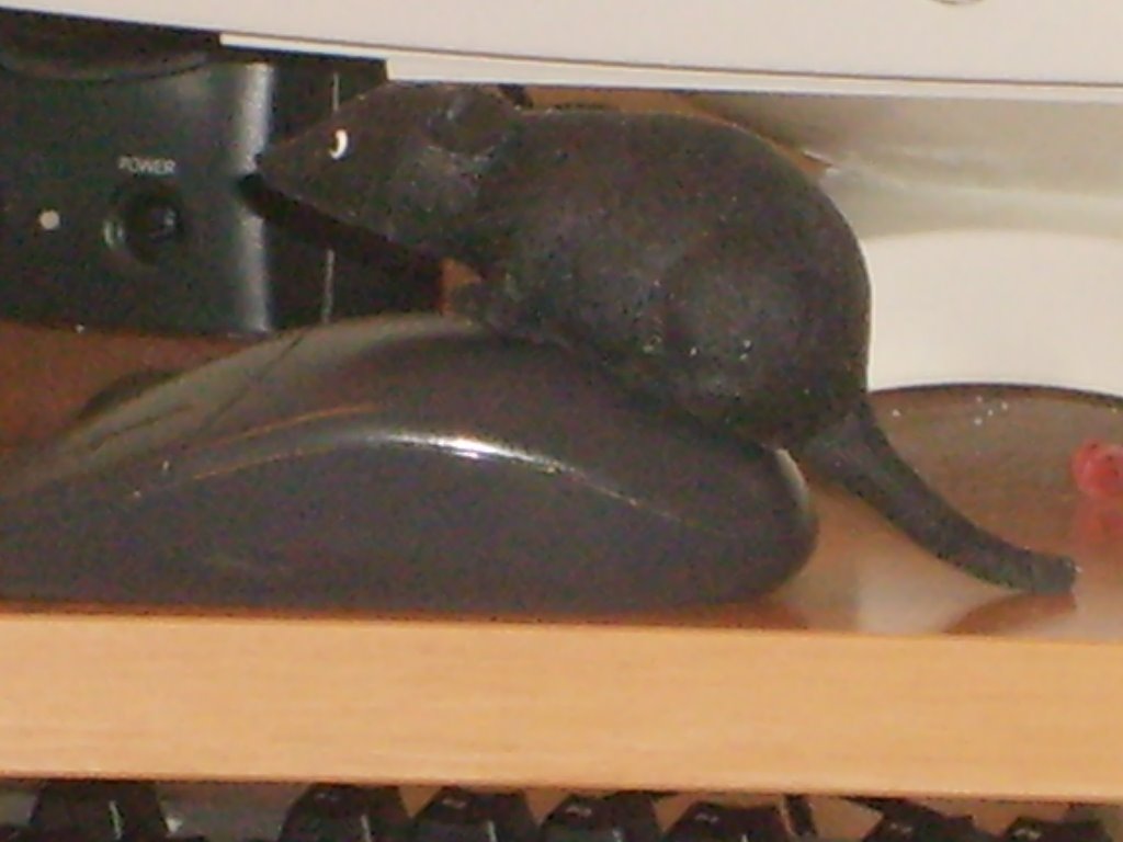 [S6004886.JPG]
