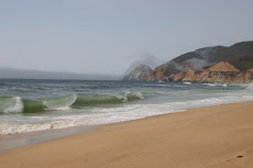 Beach Near Half Moon Bay