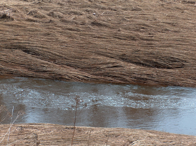 high tide