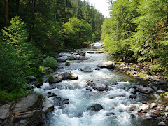 McCloud river (I think)!