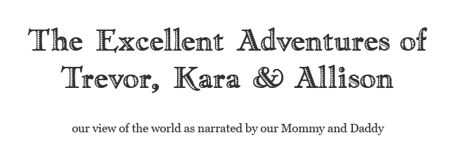 The Excellent Adventures of Trevor, Kara and Allison