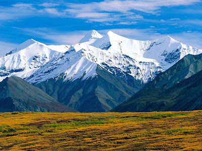 Beautiful Nature Wallpapers beautiful nature wallpaper. Beautiful Nature Wallpapers