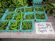 Wednesday Greenmarket