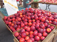 Wednesday Greenmarket