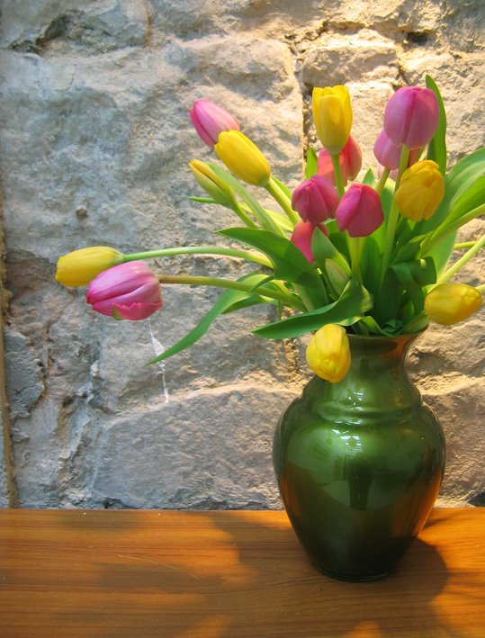 [flower+tulips.jpg]