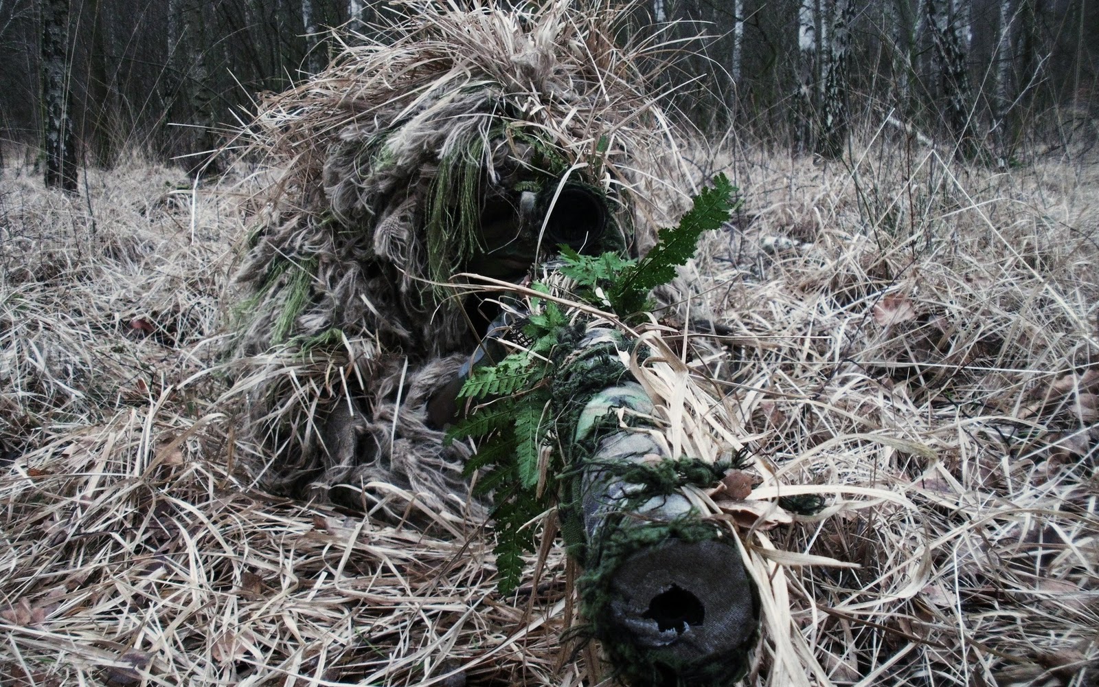 http://1.bp.blogspot.com/_Gq1jO6iuU2U/TT4i2UCKrSI/AAAAAAAAHgI/uAvzHe6jr4M/s1600/sniper+ghillie+suit+camo+HD+wallpaper.jpg