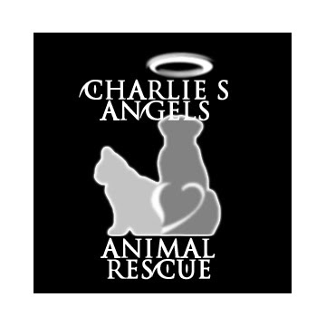 Charlie#39;s Angels Animal Rescue charlies angels logo. Charlie#39;s Angels Animal Rescue