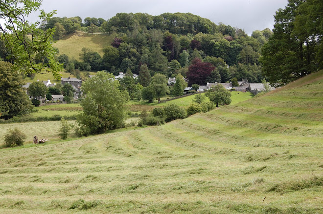 The Village of Near Sawry