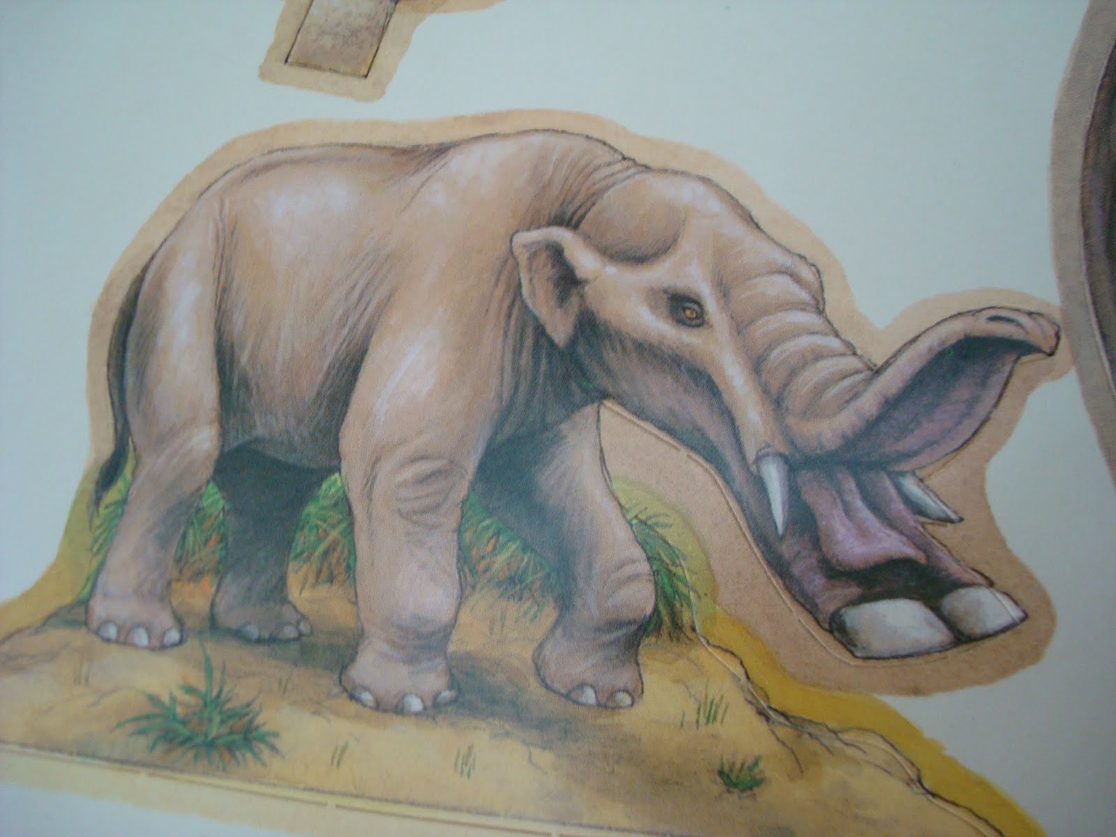 bull vs andrewsarchus