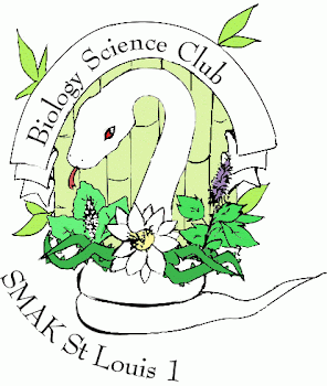 Image result for logo bsc sinlui