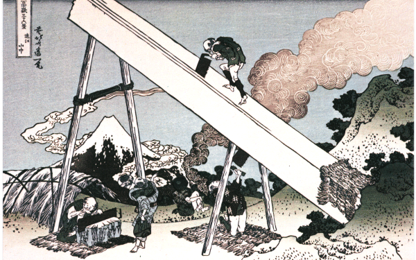 [fuji4.gif]