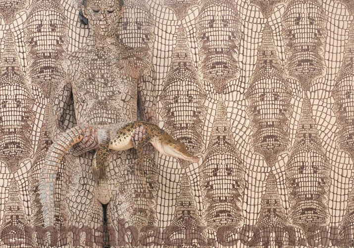 [Evolution-Crocodile.jpg]